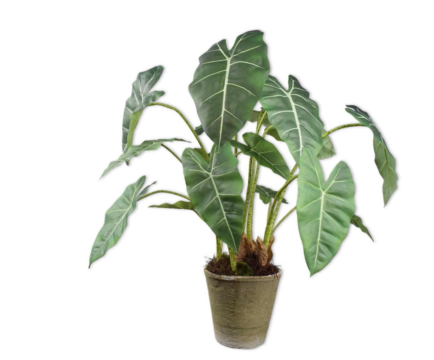 ALOCASIA | Elefantenohr Kunstpflanze, 81 cm