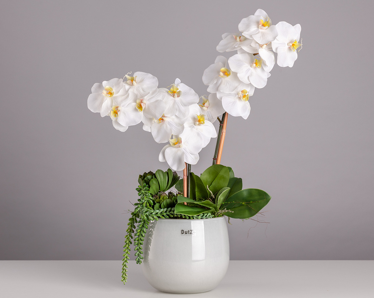FOREVER TIMELESS | Künstliche Orchidee