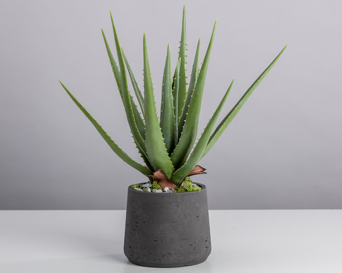 KÜNSTLICHE ALOE | Kunstsukkulente 