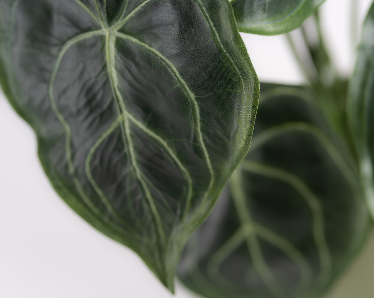 PEPEROMIA | Künstlicher Peperomia 