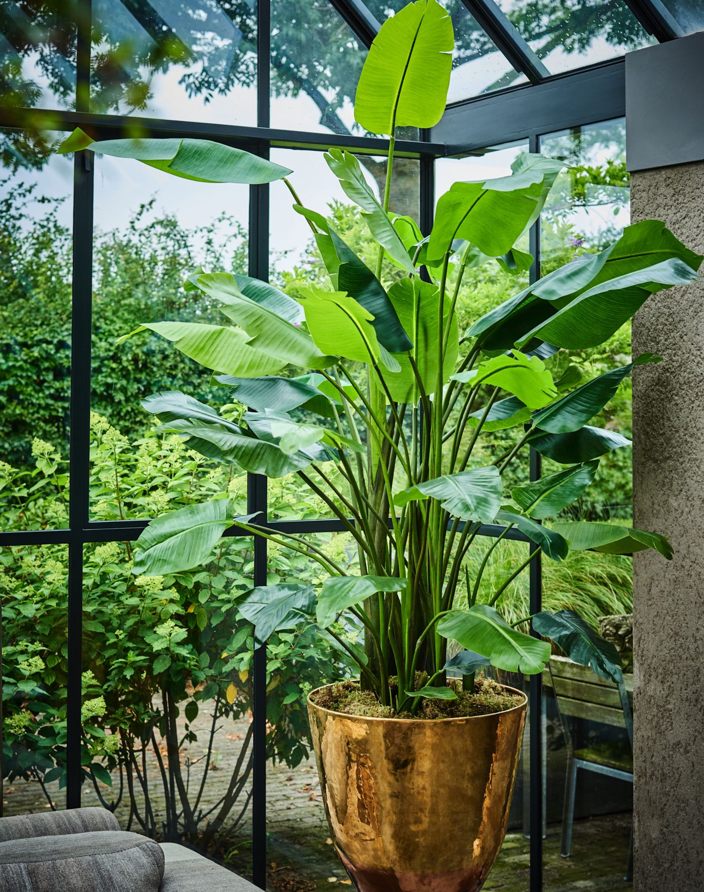 STRELITZIA | Strelitzie künstlich 