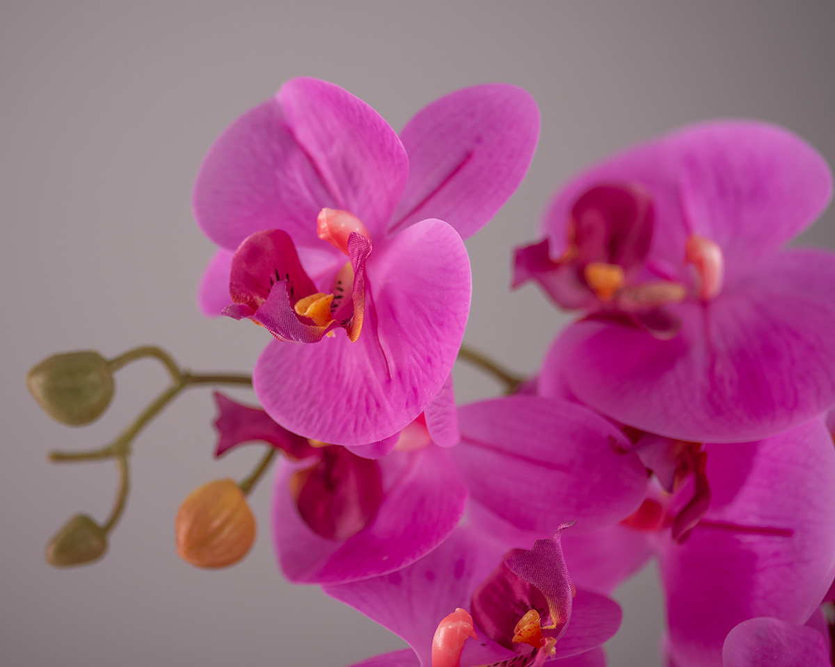 PINKY ORCHID | künstliche Orchideen