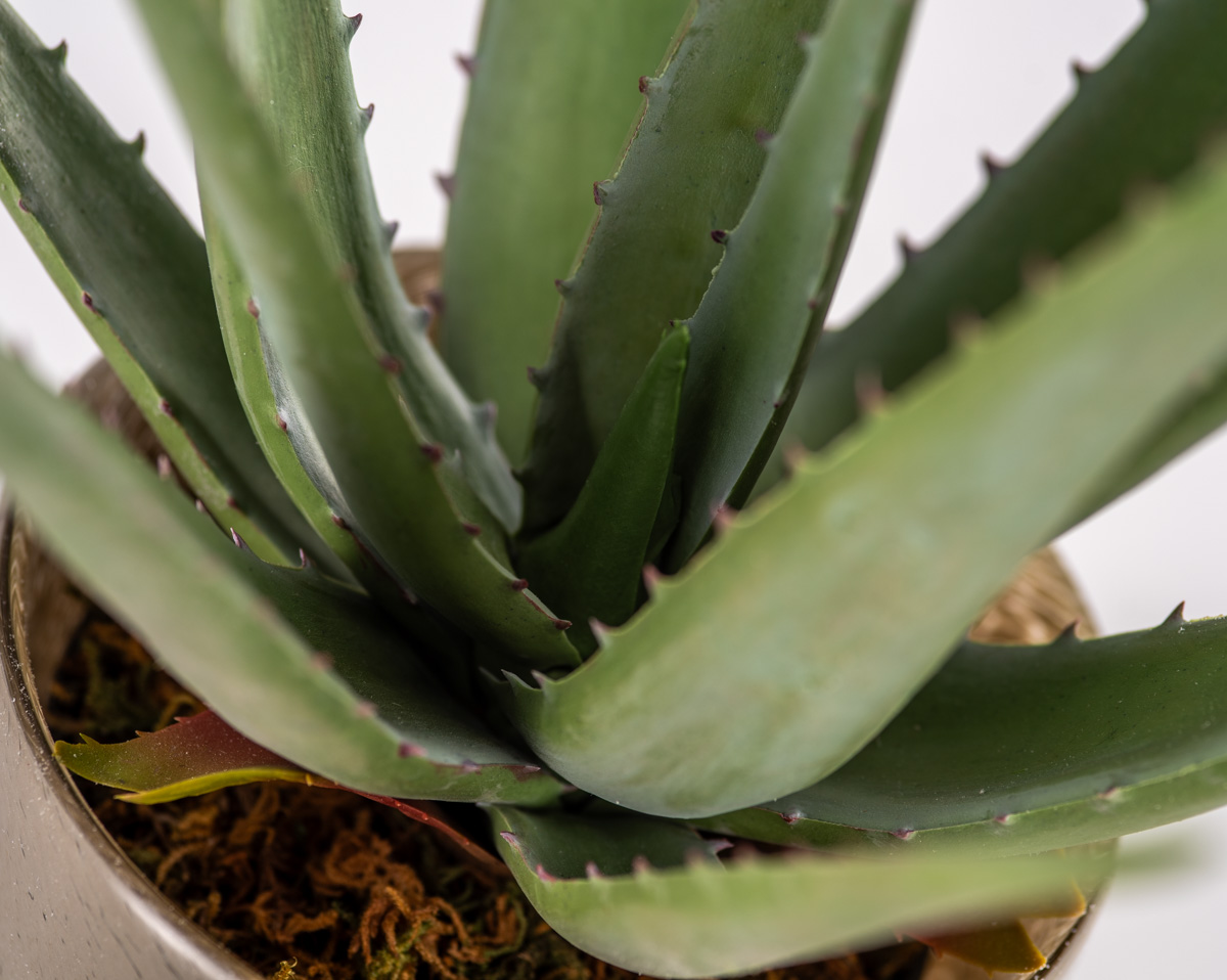 ALOE | Kunstblumen