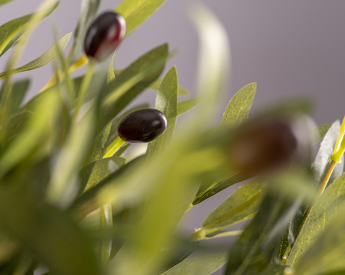OLIVE  | Künstliches Olivenarrangement 