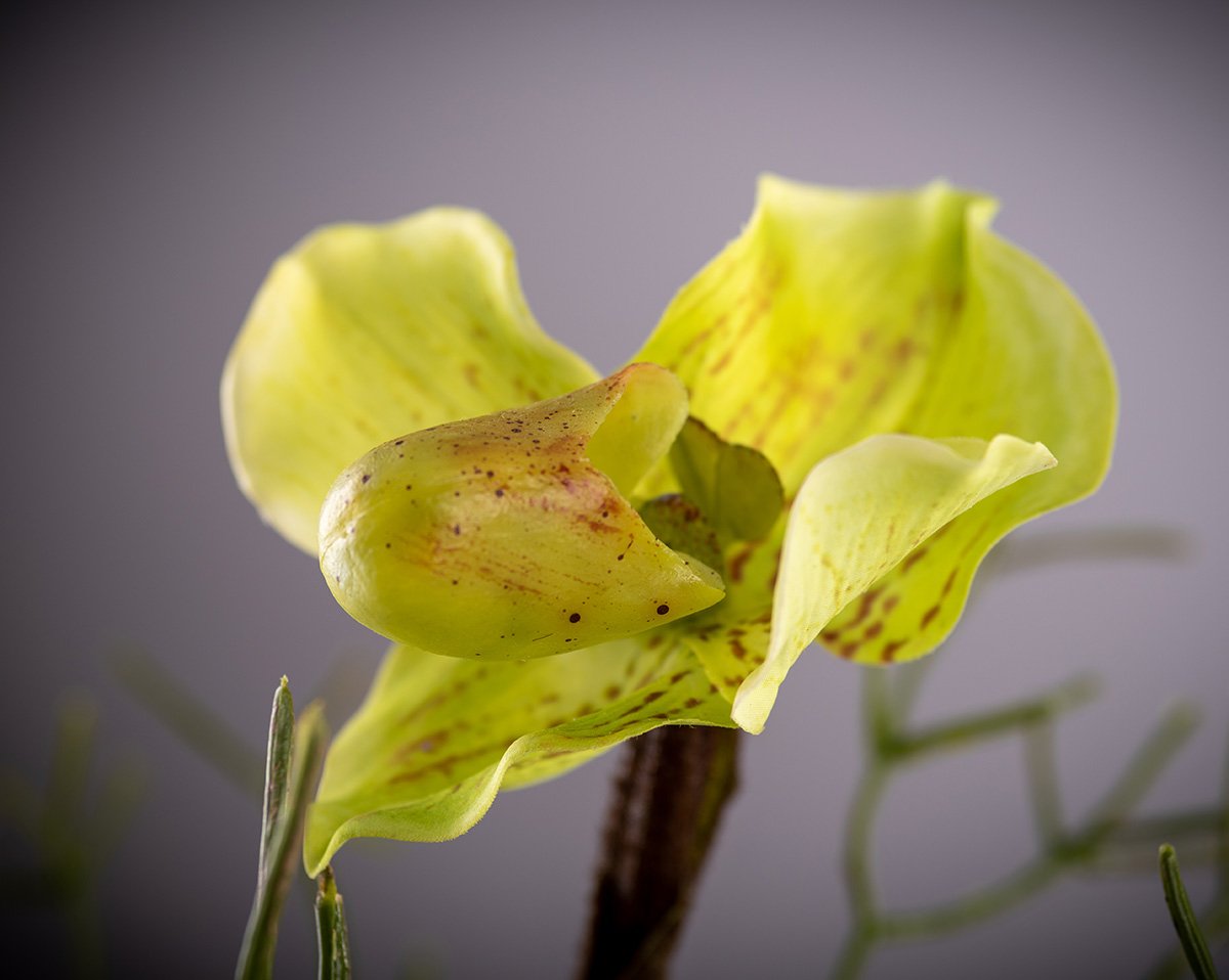 LADYSLIPPER | Kunstblumenesteck mit Orchideen 