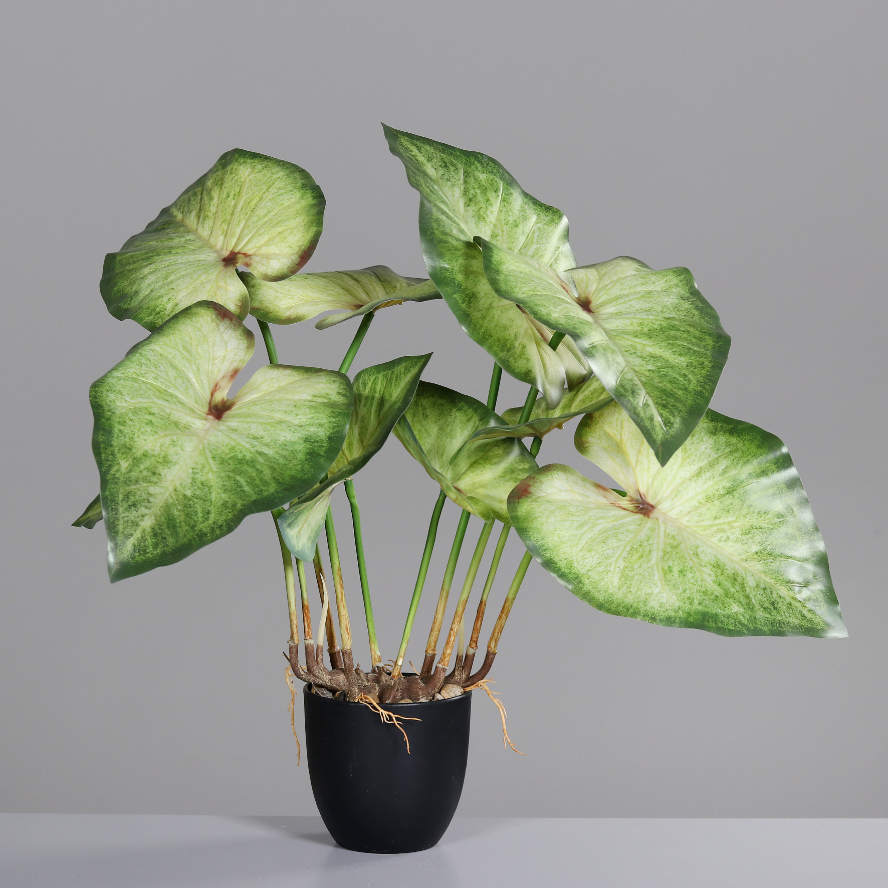 WILD TARO | Künstlicher, naturgetreuer Wild Taro