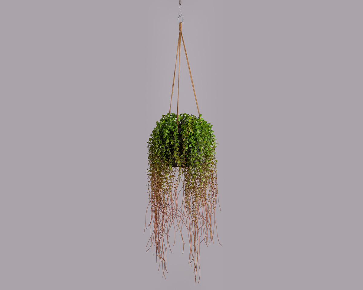 Hanging Green No. 2 | Künstlicher Hängefarn Kopie