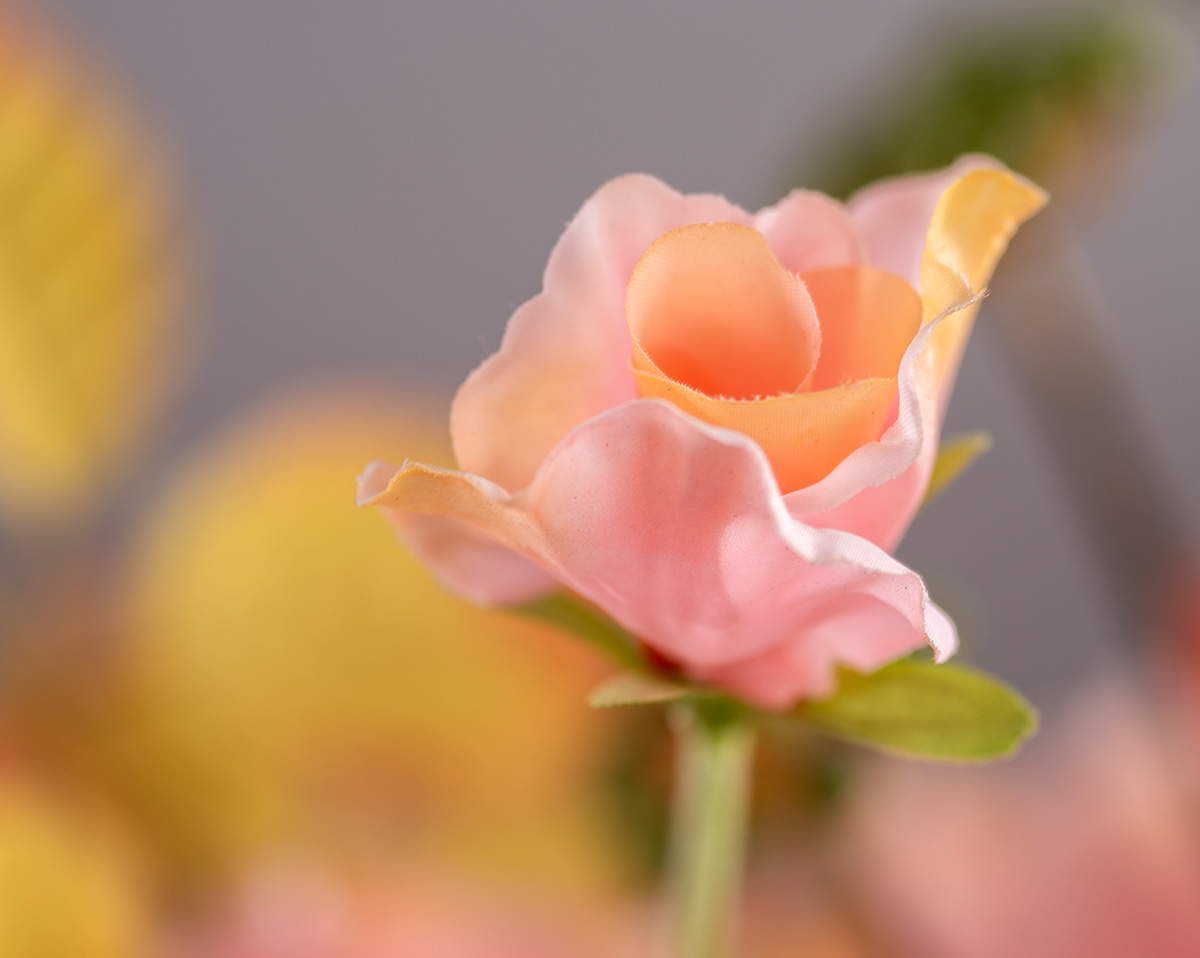 DAHLIEN POWDER | Kunstblumenarrangement 