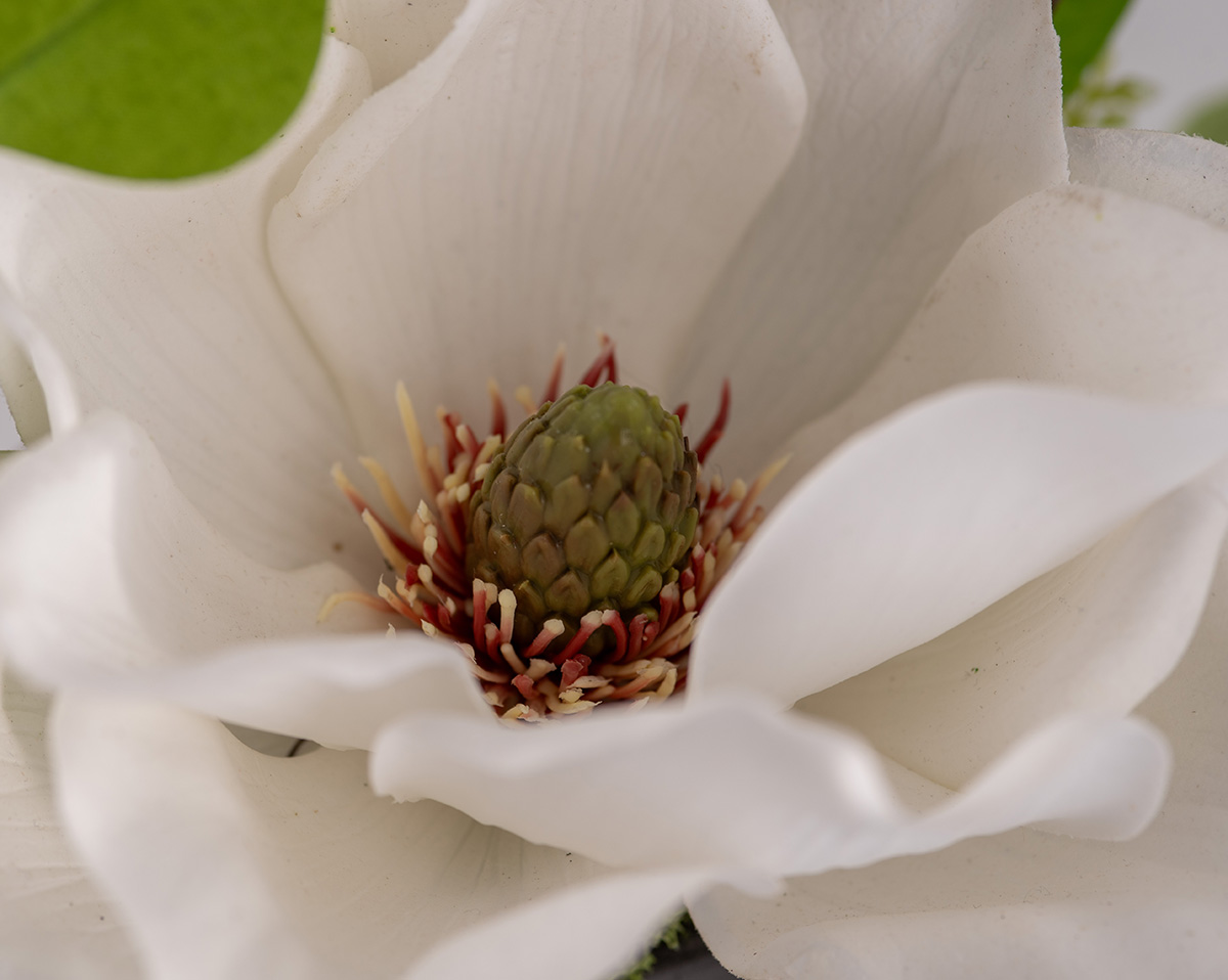 DUO MAGNOLIA  | Kunstblumen  