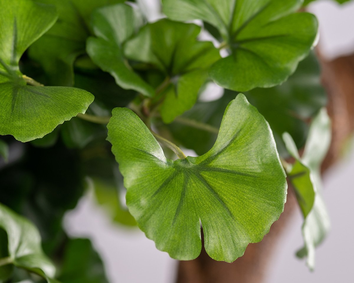 SET GINGKO | Kunstpflanze Gingko in Pax